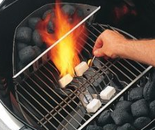 Weber Lighter Cubes