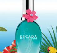 Escada