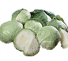 Cabbage