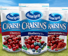 Ocean Spray Craisins