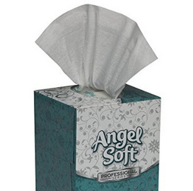 Angel Soft