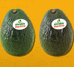 Avocados