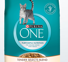 Purina One Cat