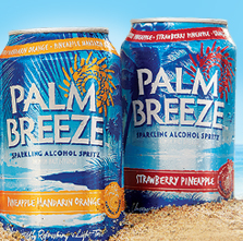 Palm Breeze