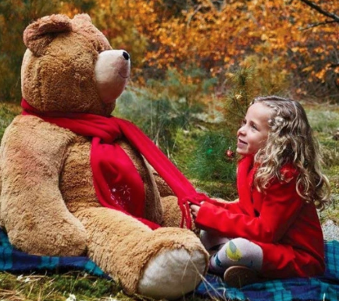 vermont teddy bear giant