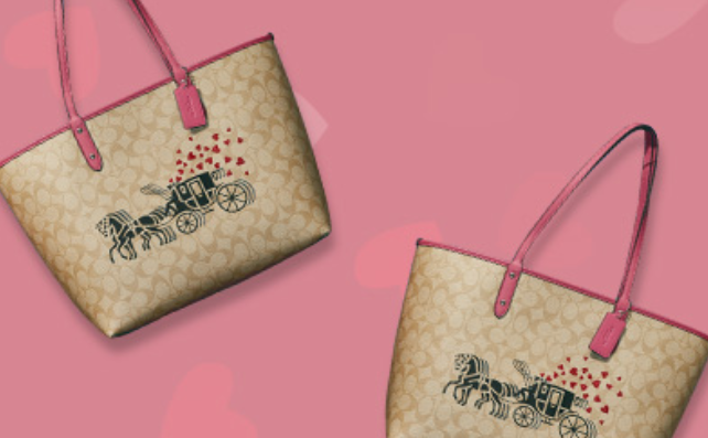 valentine coach bags