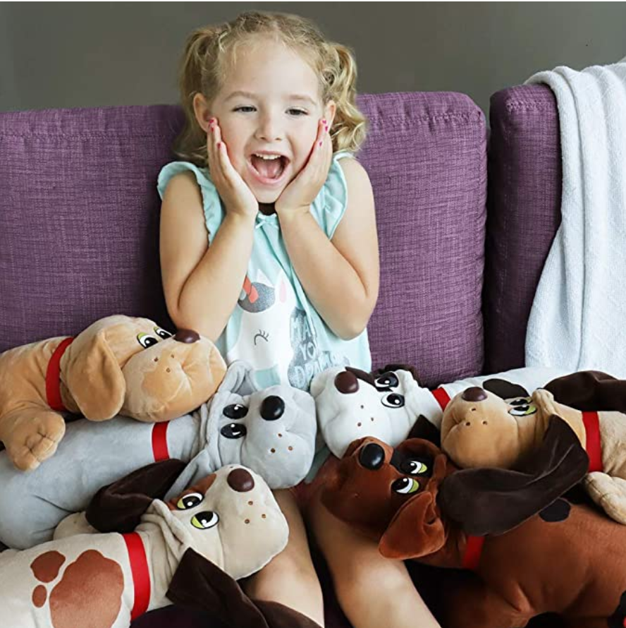 pound puppies basic fun