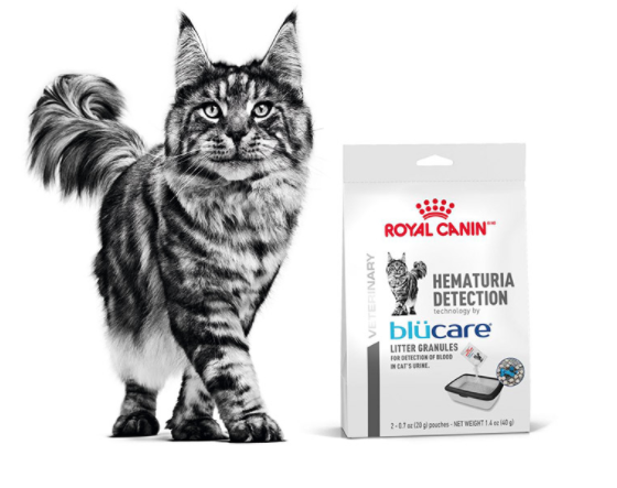 royal canin free sample