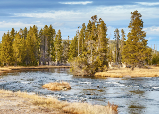 Dollar Flight Club Yellowstone National Park Sweepstakes | FreebieShark.com